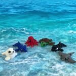 Miniature Ocean Animal Bundle – 6 Articulated 3D Printed Sea Creatures | Whale, Turtle, Octopus, Manta Ray, Dolphin & Seal | Ocean Sensory Desk Toys | Marine Animal Gift